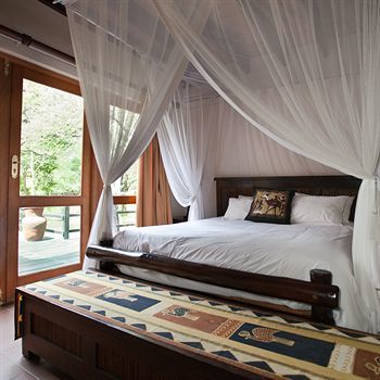 Sefapane Lodge And Safaris