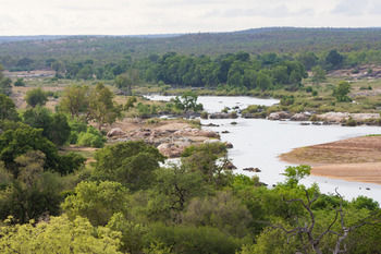 Sefapane Lodge And Safaris