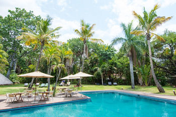 Sefapane Lodge And Safaris