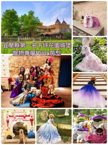 Bed & Breakfast Xin Yuan My Dream Castle
