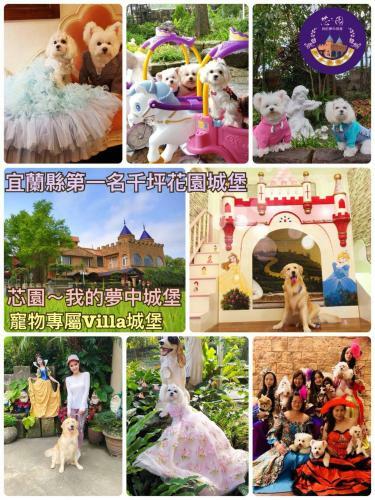 Bed & Breakfast Xin Yuan My Dream Castle