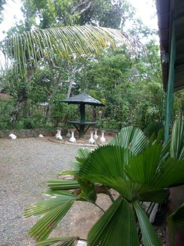 Hostal Walawa Cottage