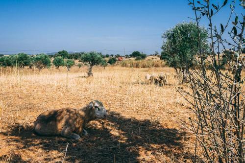 Agroturismo Monte Do Colmeal