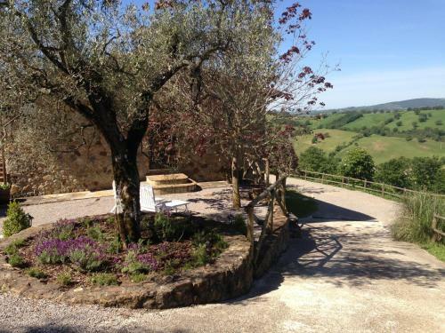 Agroturismo Podere Poggio Benedetto