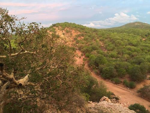 Agroturismo Adansonia Eco Lodge
