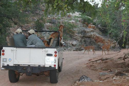 Agroturismo Adansonia Eco Lodge