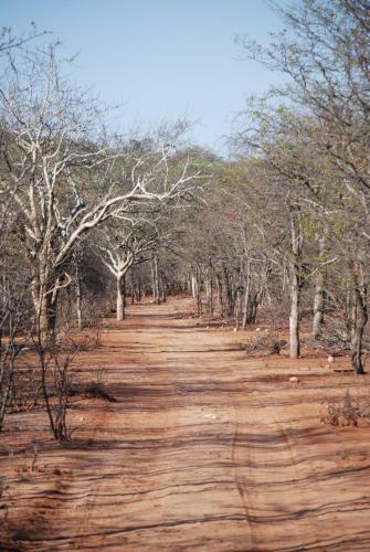 Agroturismo Adansonia Eco Lodge