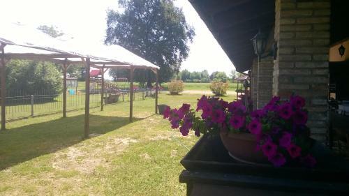 Hostal Alla Fornace Di Sacerno