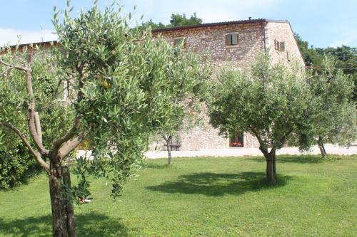 Bed & Breakfast Corte Castello