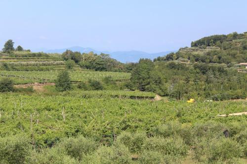 Bed & Breakfast Corte Castello