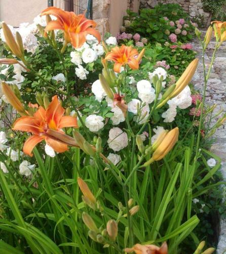 Bed & Breakfast Corte Castello