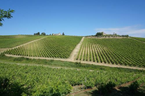 Agroturismo Il Vichiaccio