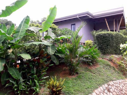 Bed & Breakfast Eden Tica Lodge