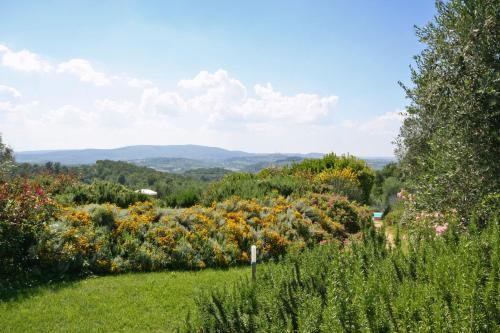 Agroturismo Podere Il Pino