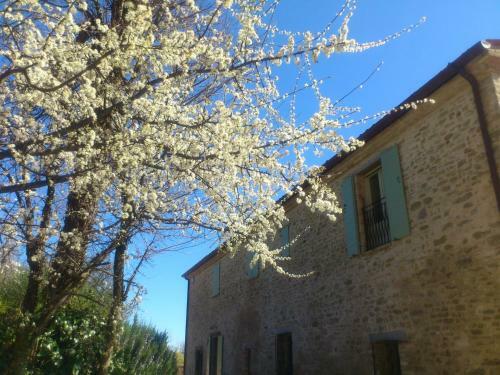 Bed & Breakfast Poggio Dei Prugnoli