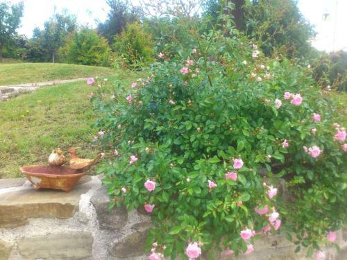 Bed & Breakfast Poggio Dei Prugnoli