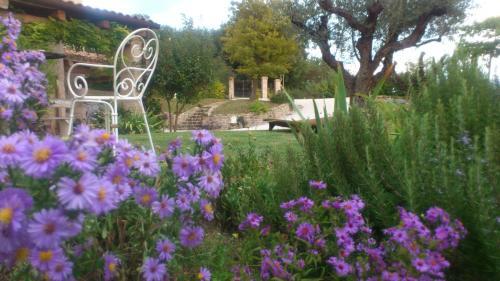 Bed & Breakfast Poggio Dei Prugnoli