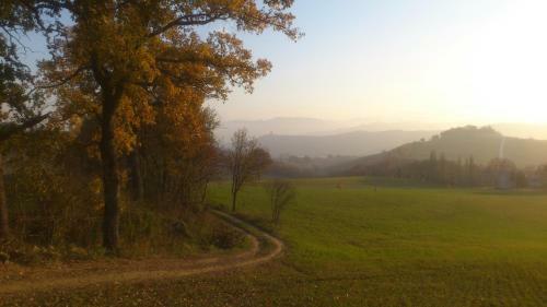 Bed & Breakfast Poggio Dei Prugnoli