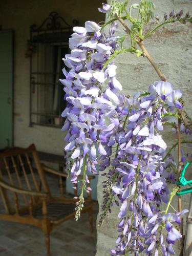 Bed & Breakfast Poggio Dei Prugnoli