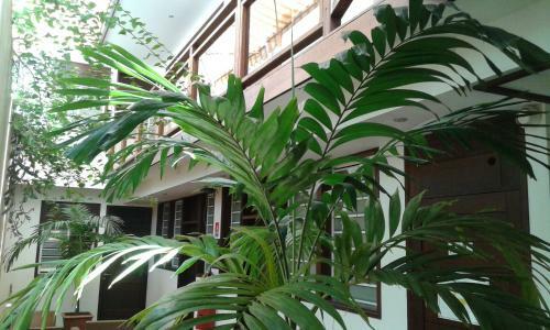Hotel Le Dronmi