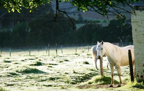 Hotel Rozendal Guest Farm