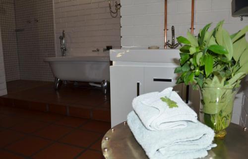 Hostal African Vineyard Guesthouse