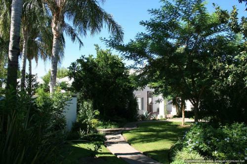 Hostal African Vineyard Guesthouse