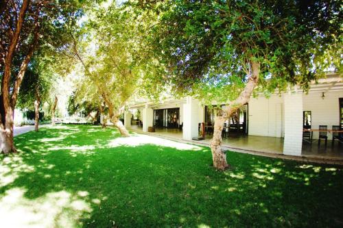 Hostal African Vineyard Guesthouse