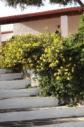 Bed & Breakfast Sa Ruscitta