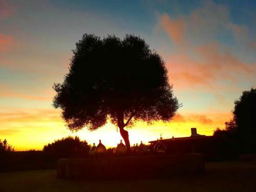 Bed & Breakfast Sa Ruscitta