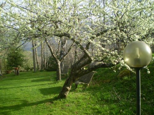 Agroturismo I 3 Porcellini