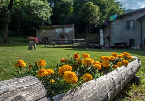 Agroturismo I 3 Porcellini