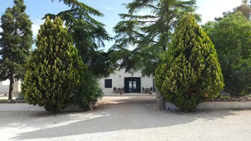 Hostal La Ferula Agriturismo Fattoria Didattica