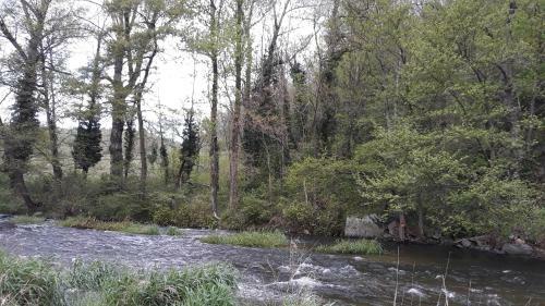 Camping Les Roches