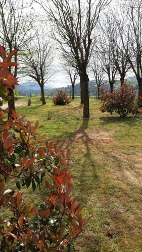 Camping Les Roches