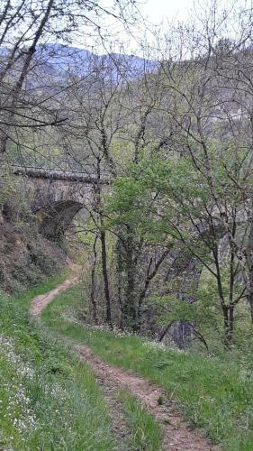 Camping Les Roches