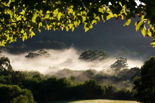 Agroturismo Clarendon Forest Retreat