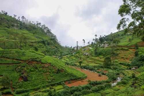 Green View Home Stay