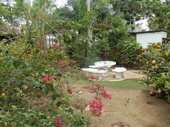 Lodge Golden Sunset Villas