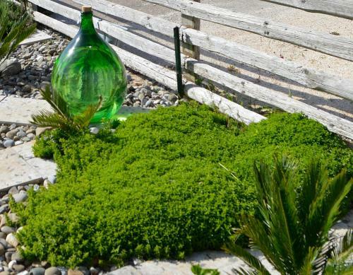 Bed & Breakfast Villa Lavanda