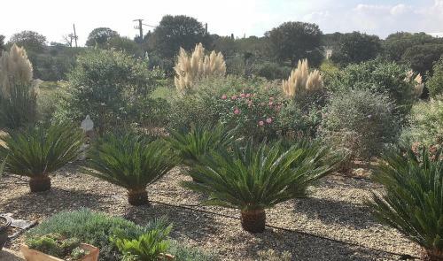 Bed & Breakfast Villa Lavanda