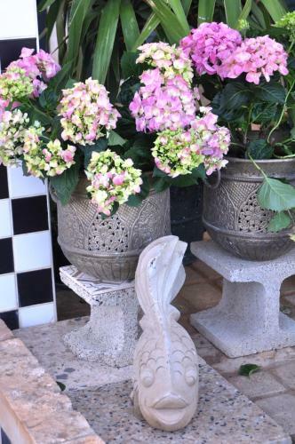 Bed & Breakfast Villa Lavanda