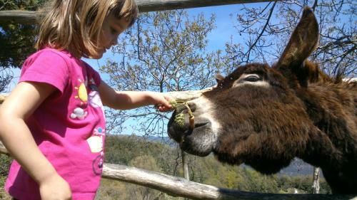 Agroturismo Masia El Buxaus