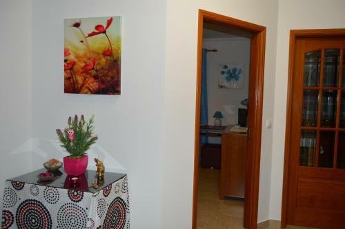 Apartamento Na Cidade Do Surf