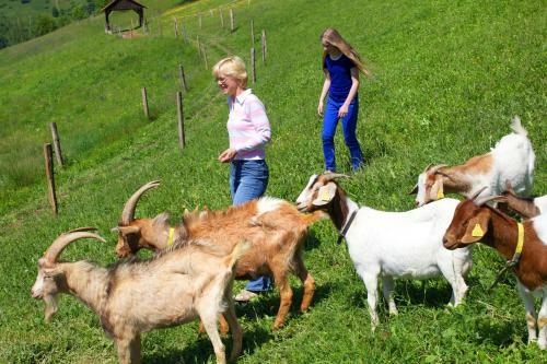 Apartamentos Farm Stay Pirc