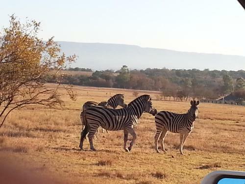 Lokuthula Country Lodge