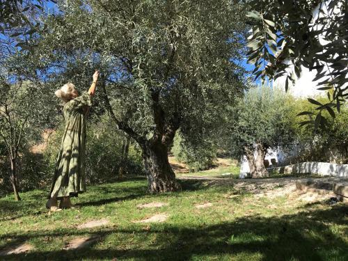 Agroturismo Cortijo La Fe - Spa