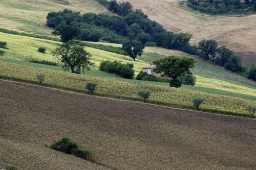 Hostal Agriturismo Il Gelso Antico