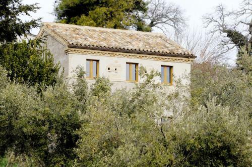 Hostal Agriturismo Il Gelso Antico
