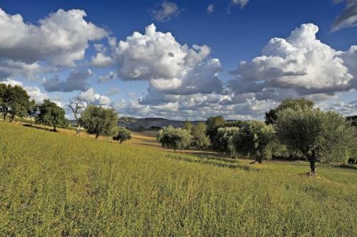 Hostal Agriturismo Il Gelso Antico